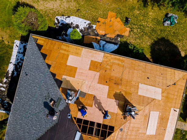 Best Storm Damage Roof Repair  in Leonardtown, MD